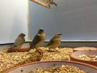 Foto 29.10.19, 06 45 43