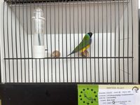 IMG_5542